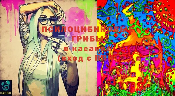 кокаин перу Каменногорск