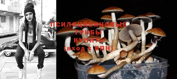 альфа пвп Каменка